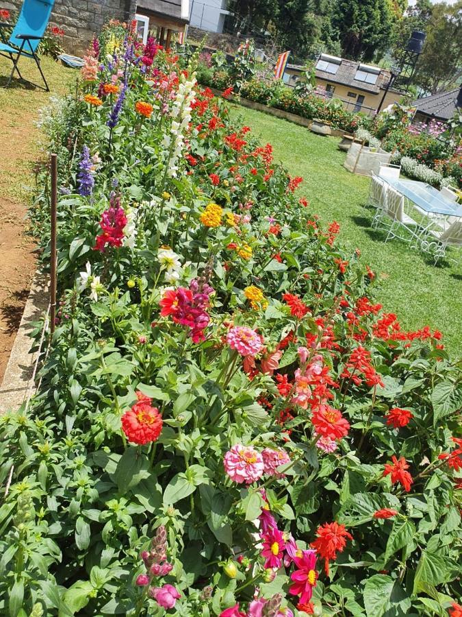Lakeside Cottages Nuwara Eliya Luaran gambar