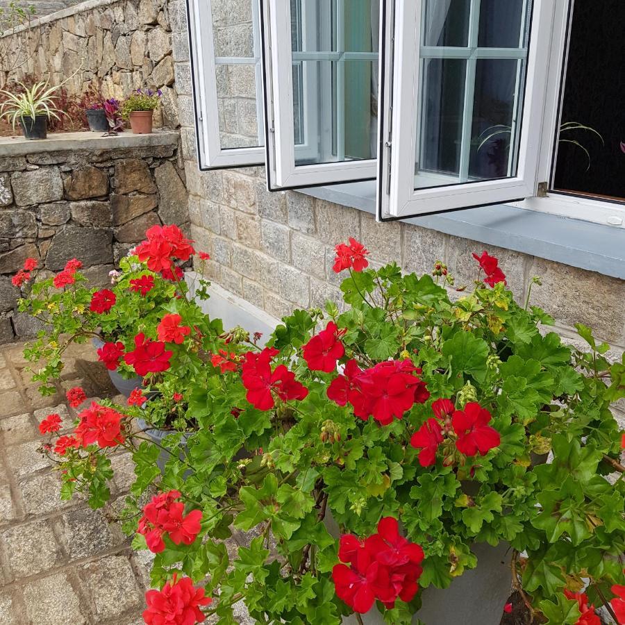 Lakeside Cottages Nuwara Eliya Luaran gambar